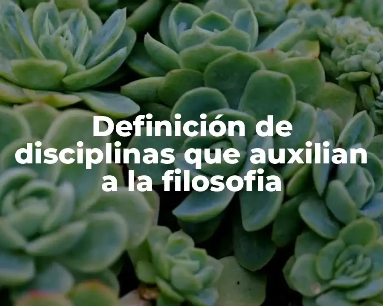 Definición de disciplinas que auxilian a la filosofia