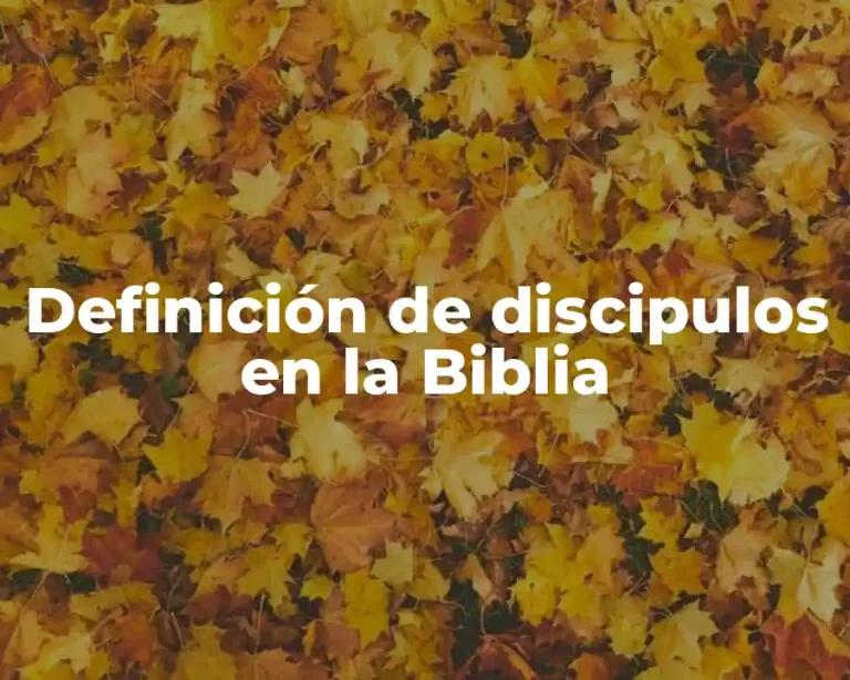Definición de discipulos en la Biblia
