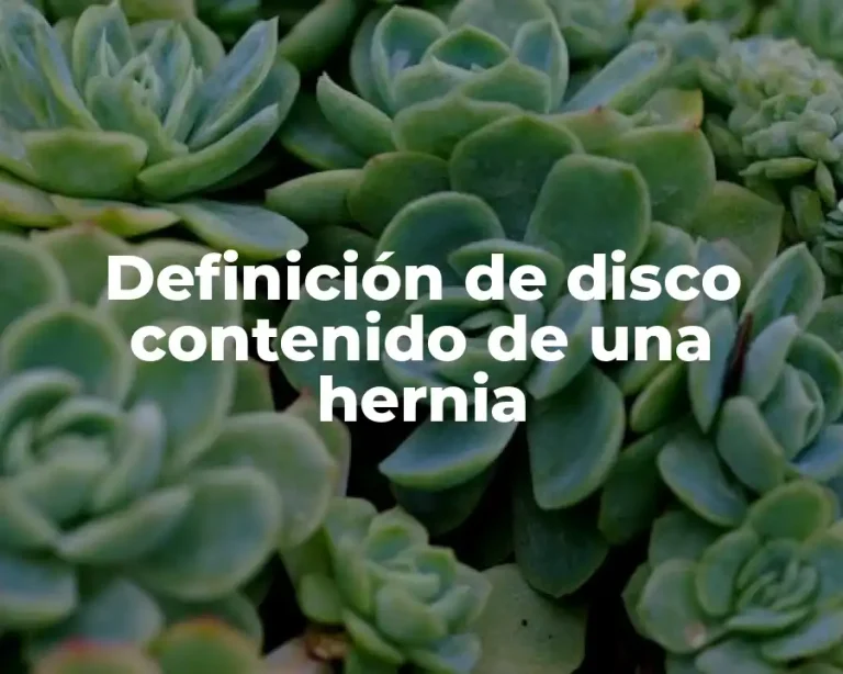 Definición de disco contenido de una hernia