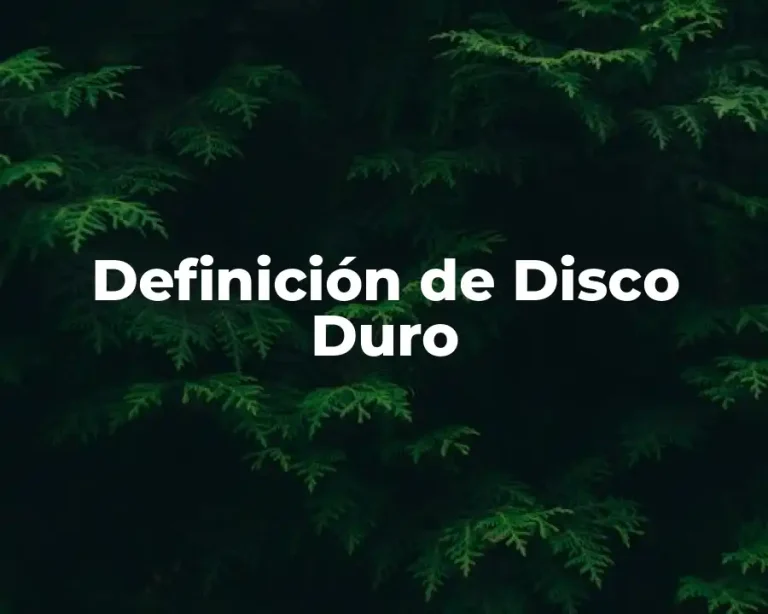 Definición de Disco Duro