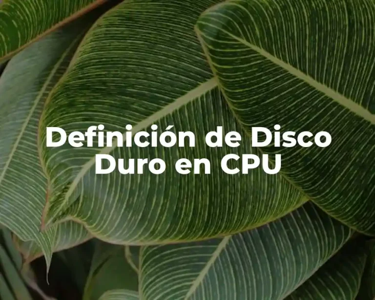 Definición de Disco Duro en CPU