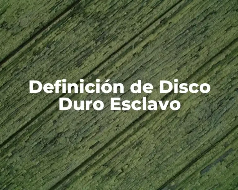 Definición de Disco Duro Esclavo