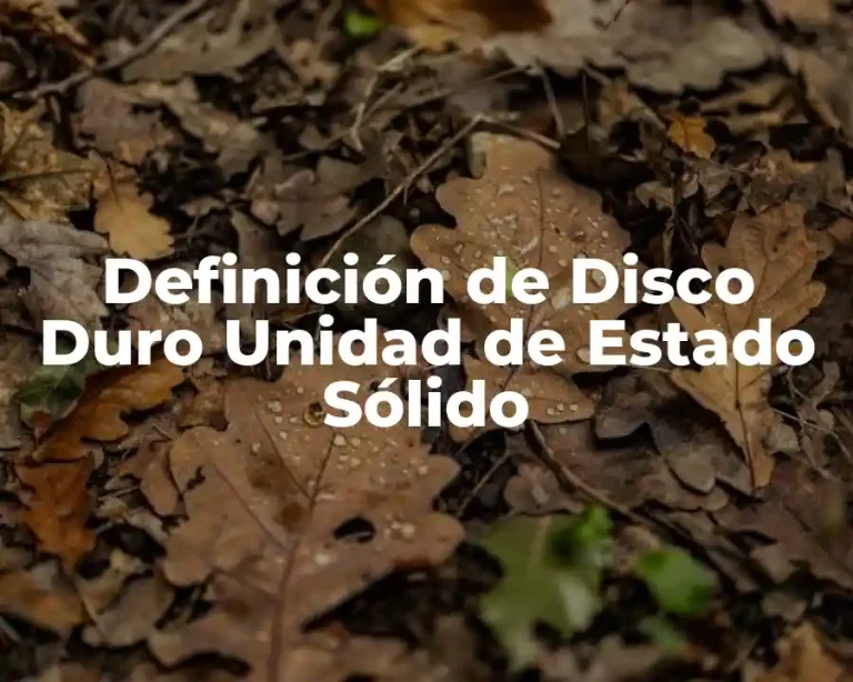 Definición de Disco Duro Unidad de Estado Sólido