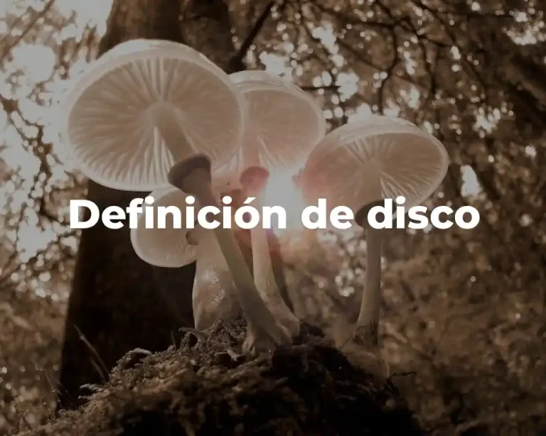 Definición de disco