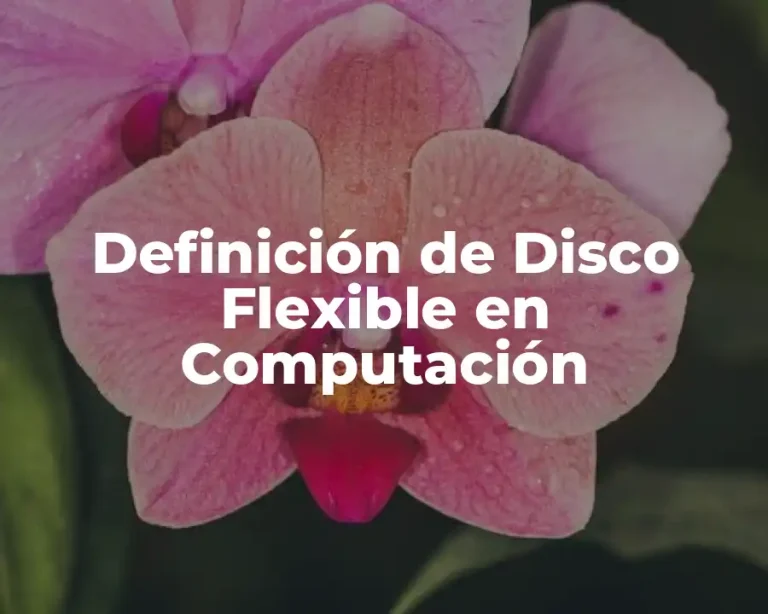 Definición de Disco Flexible en Computación