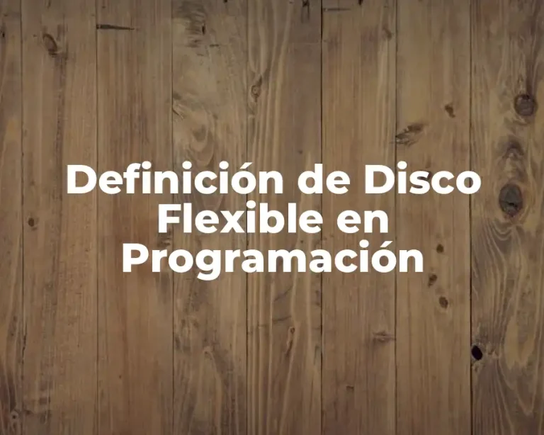Definición de Disco Flexible en Programación