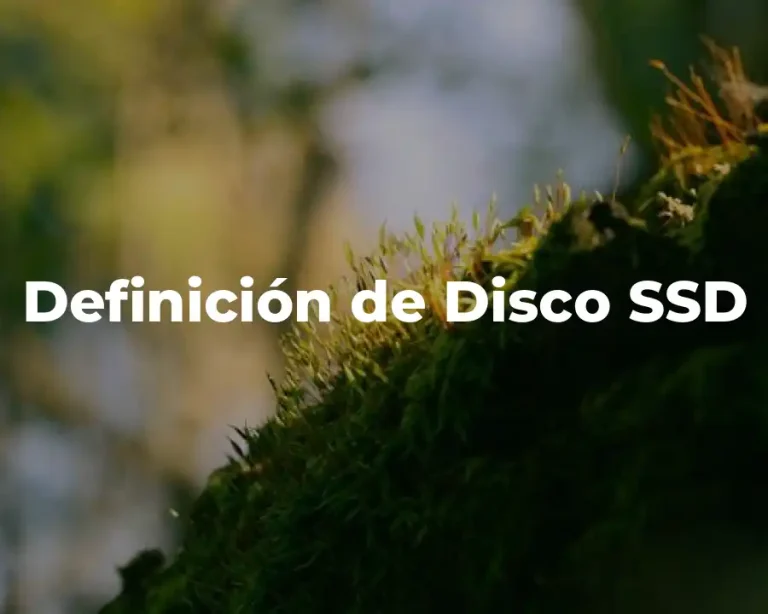 Definición de Disco SSD