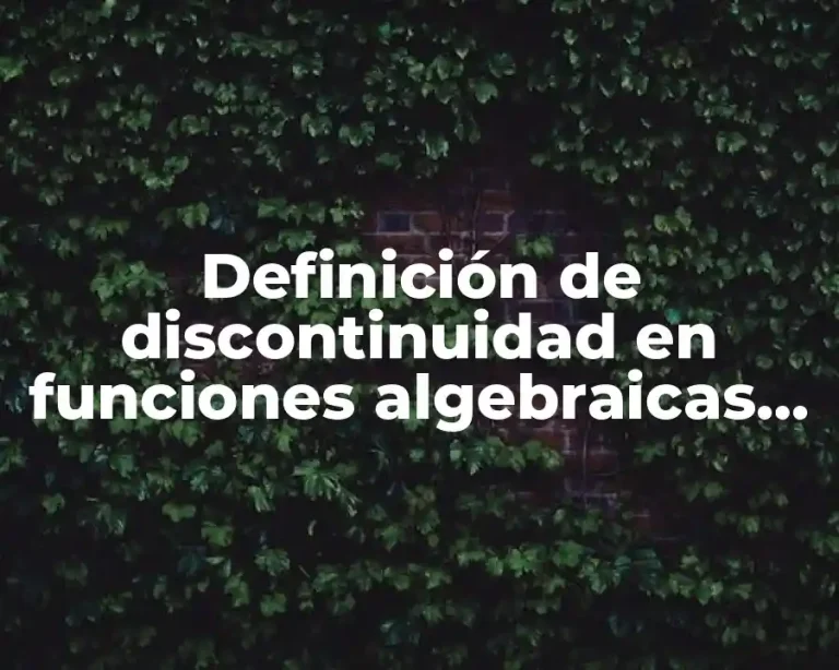 Definición de discontinuidad en funciones algebraicas en la vida cotidiana