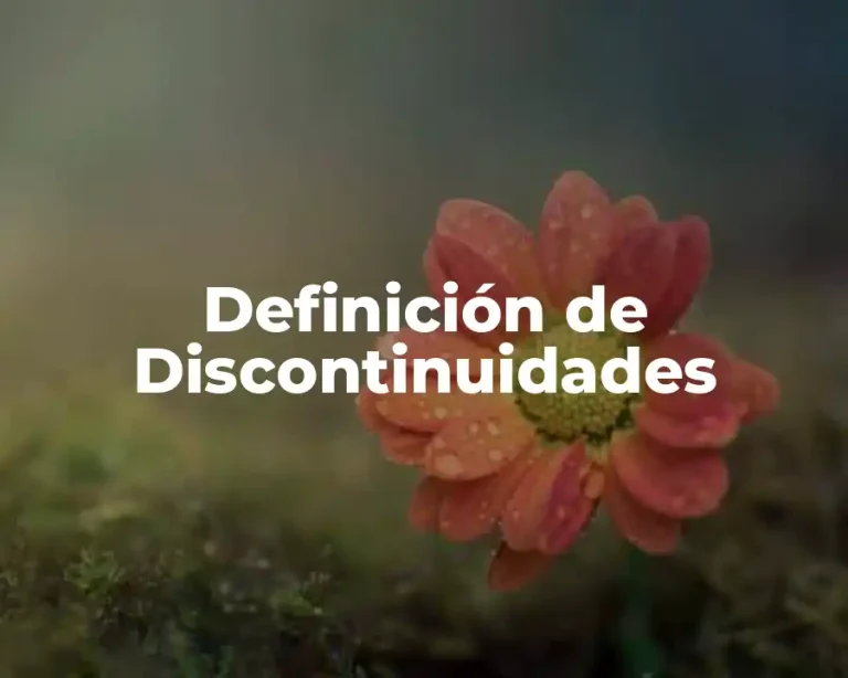 Definición de Discontinuidades
