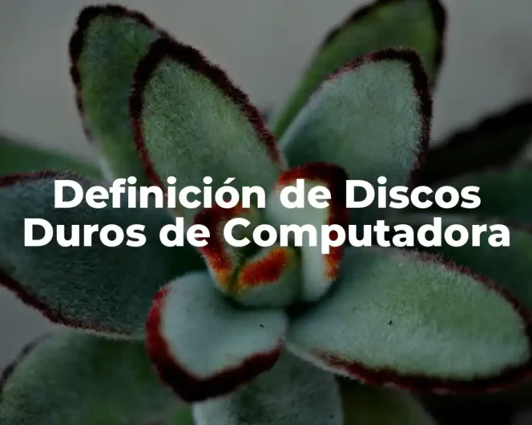 Definición de Discos Duros de Computadora