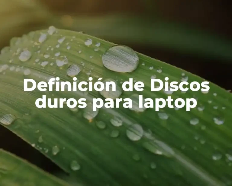 Definición de Discos duros para laptop