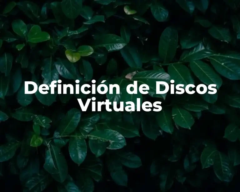 Definición de Discos Virtuales