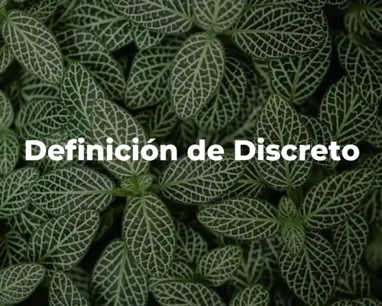 Definición de Discreto