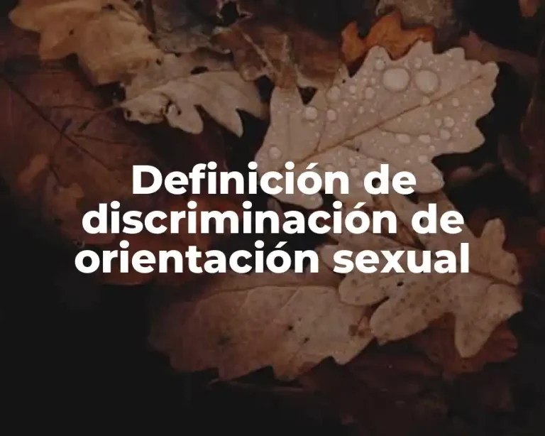 Definición de discriminación de orientación sexual