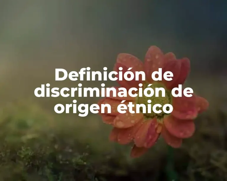 Definición de discriminación de origen étnico
