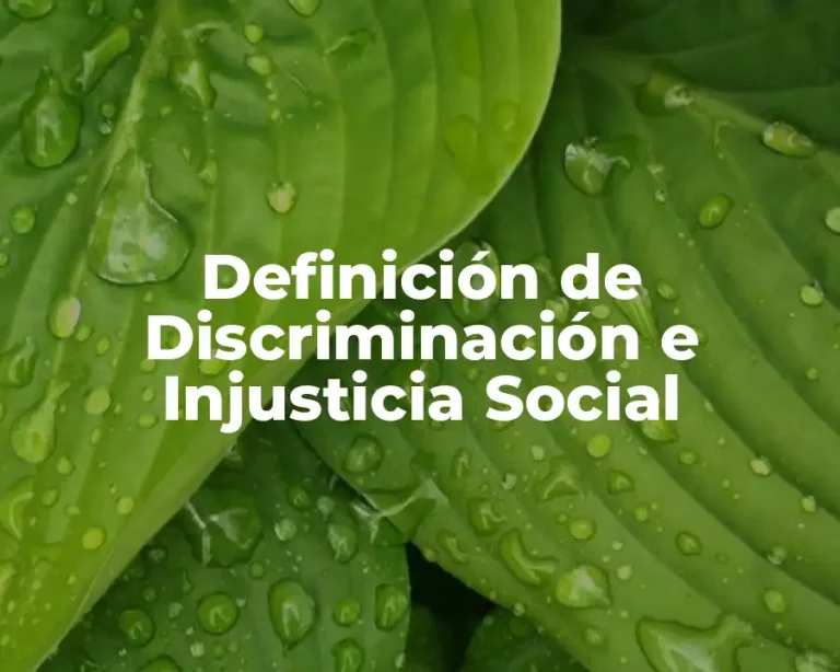 Definición de Discriminación e Injusticia Social