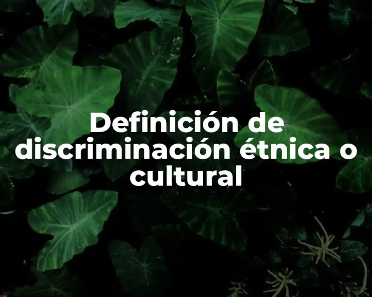 Definición de discriminación étnica o cultural