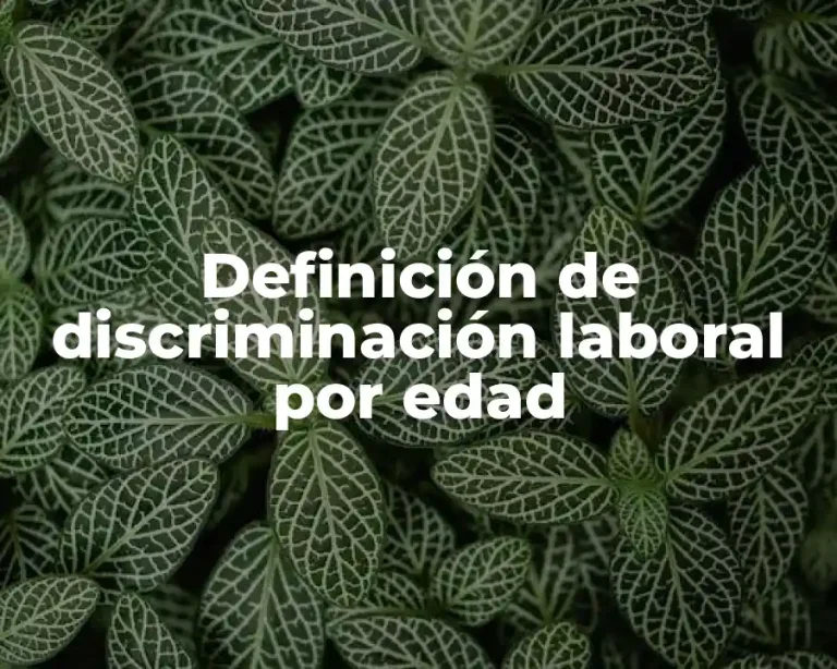 Definición de discriminación laboral por edad