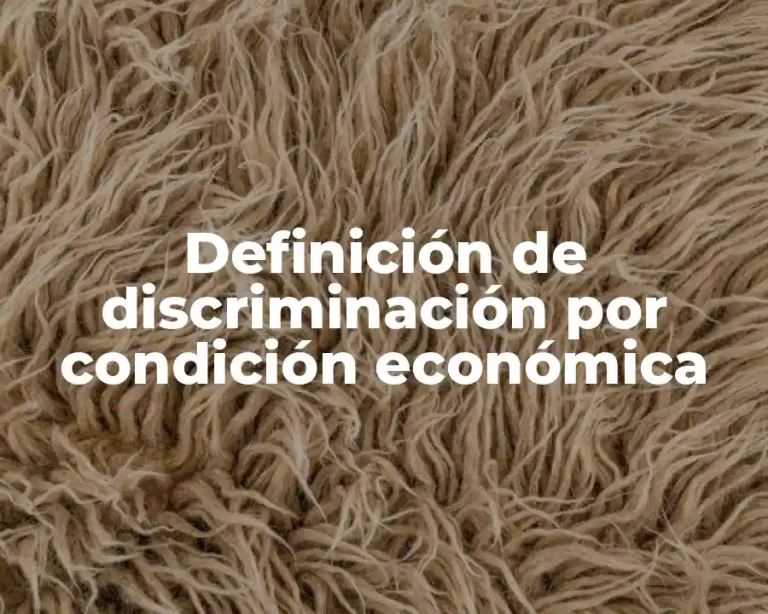 Definición de discriminación por condición económica