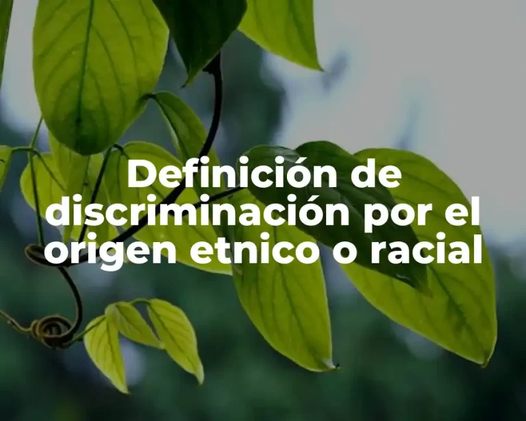 Definición de discriminación por el origen etnico o racial