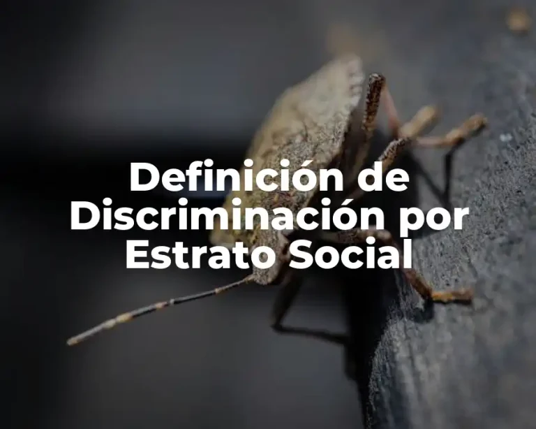 Definición de Discriminación por Estrato Social