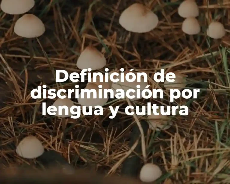 Definición de discriminación por lengua y cultura