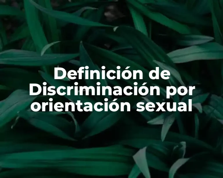 Definición de Discriminación por orientación sexual