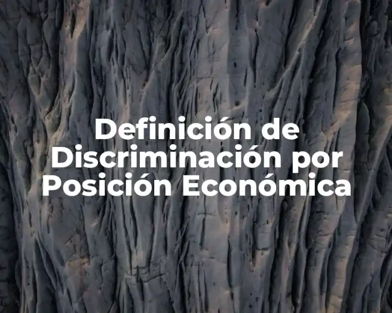 Definición de Discriminación por Posición Económica