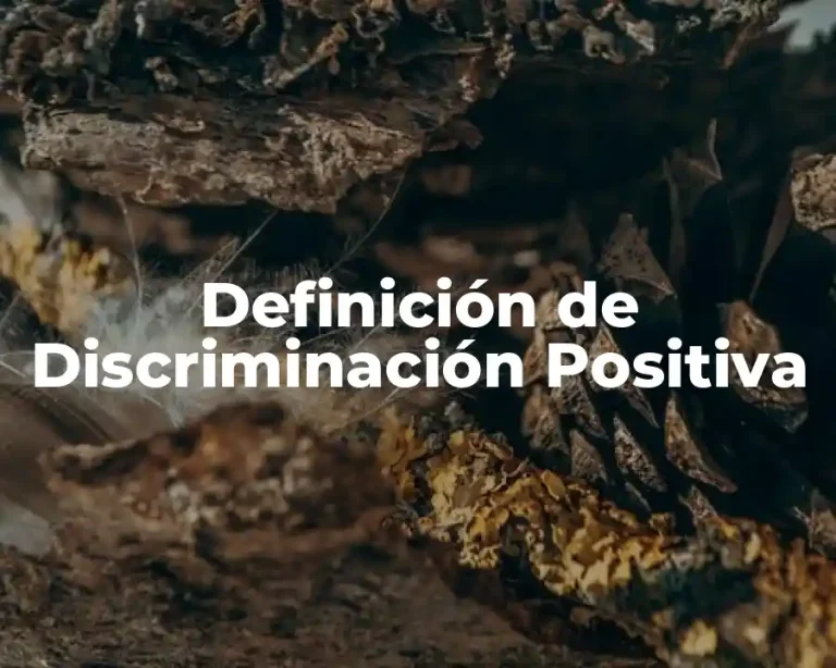 Definición de Discriminación Positiva