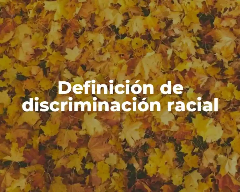 Definición de discriminación racial