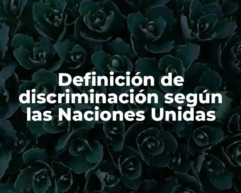 Definición de discriminación según las Naciones Unidas