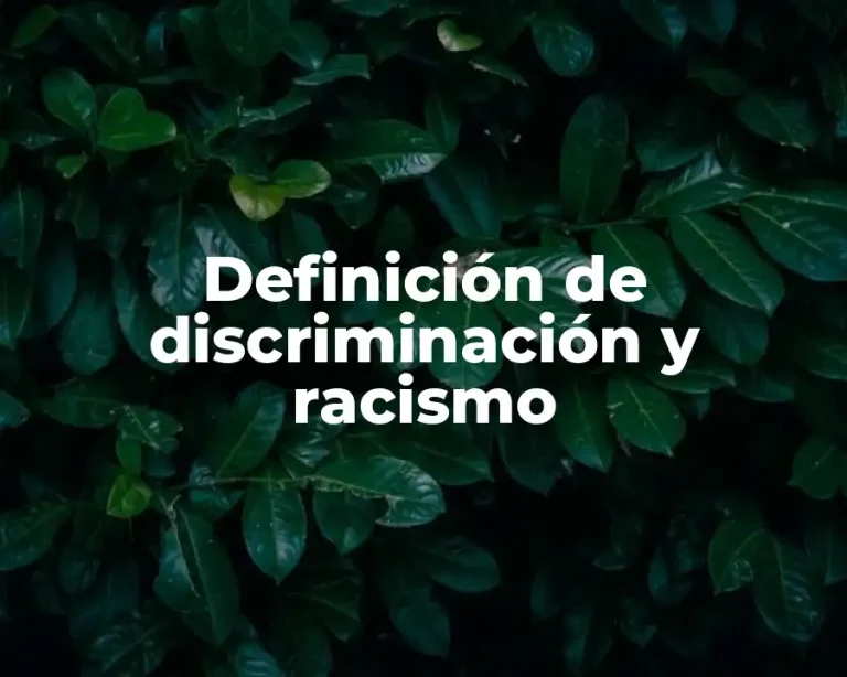 Definición de discriminación y racismo