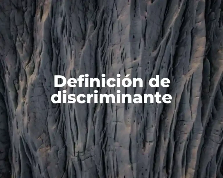 Definición de discriminante