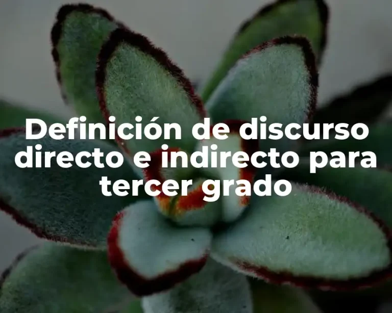 Definición de discurso directo e indirecto para tercer grado