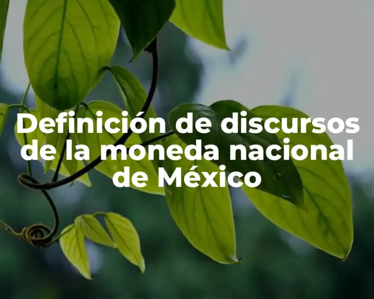 Definición de discursos de la moneda nacional de México