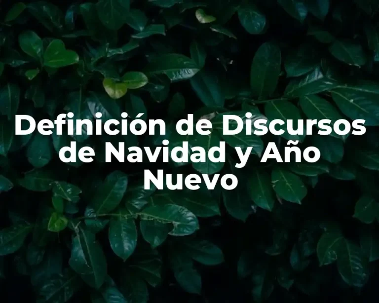 Definición de Discursos de Navidad y Año Nuevo