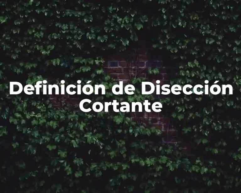Definición de Disección Cortante