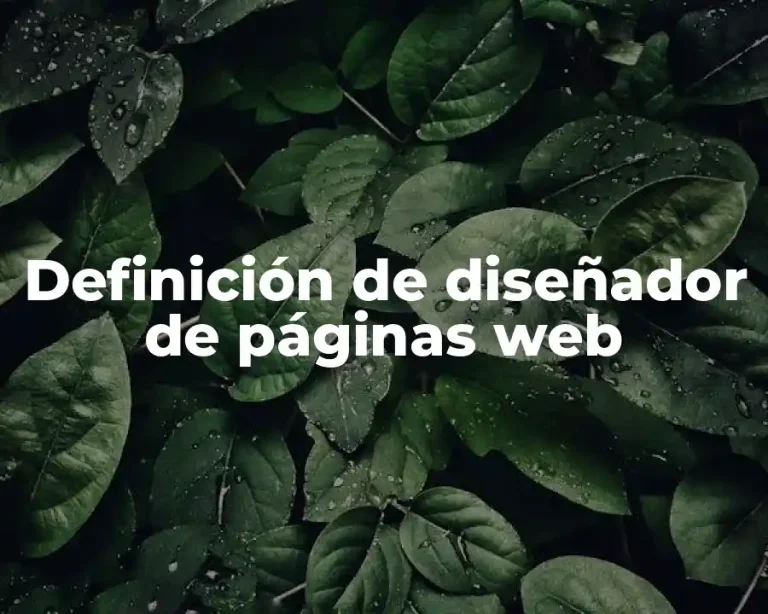 Definición de diseñador de páginas web