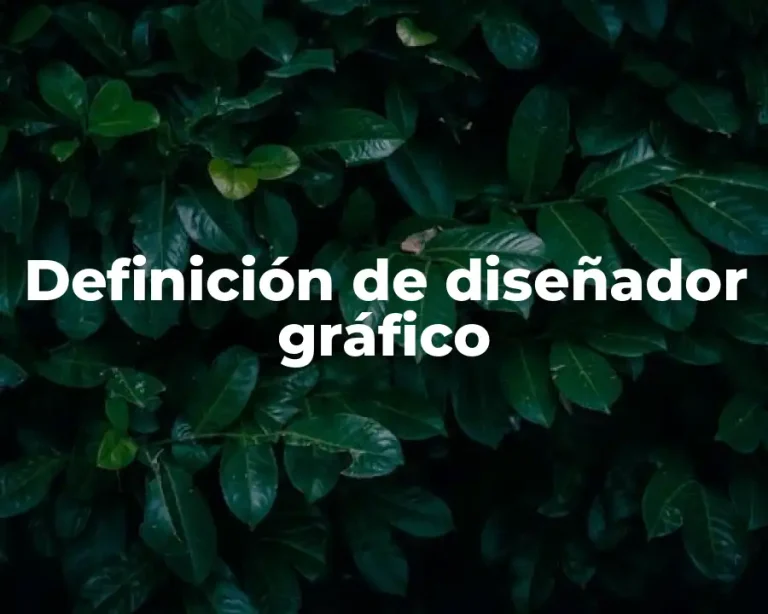Definición de diseñador gráfico