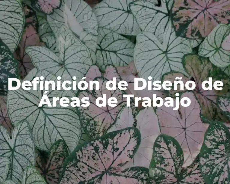 Definición de Diseño de Áreas de Trabajo