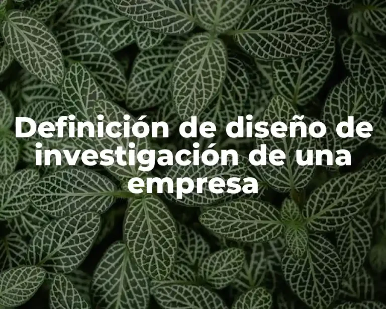Definición de diseño de investigación de una empresa