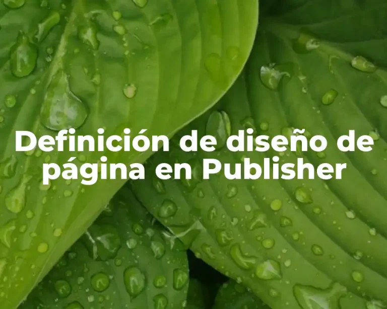Definición de diseño de página en Publisher