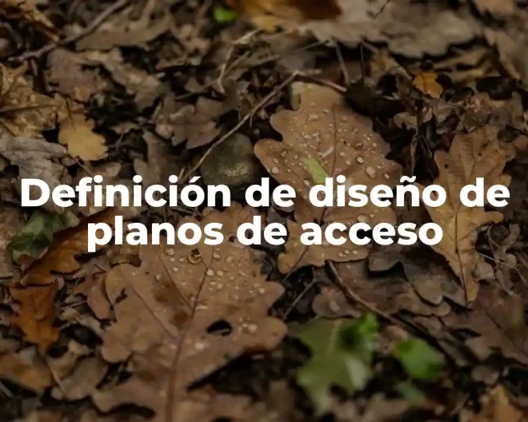 Definición de diseño de planos de acceso