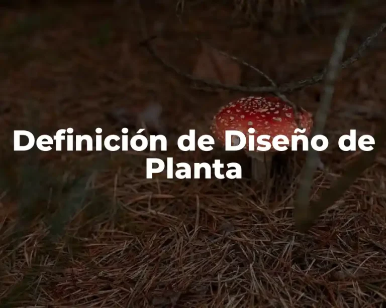 Definición de Diseño de Planta