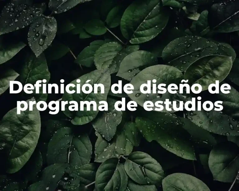 Definición de diseño de programa de estudios