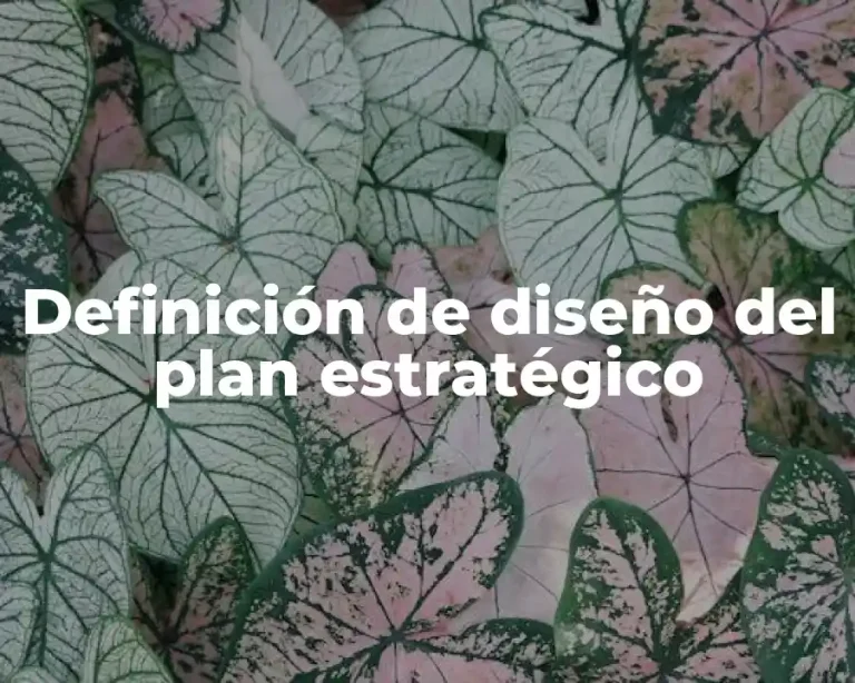 Definición de diseño del plan estratégico