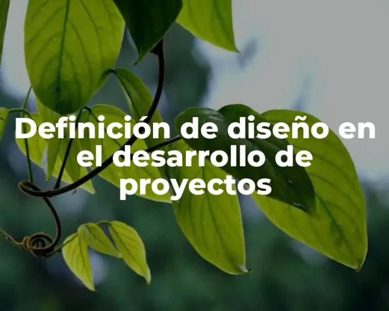 Definición de diseño en el desarrollo de proyectos