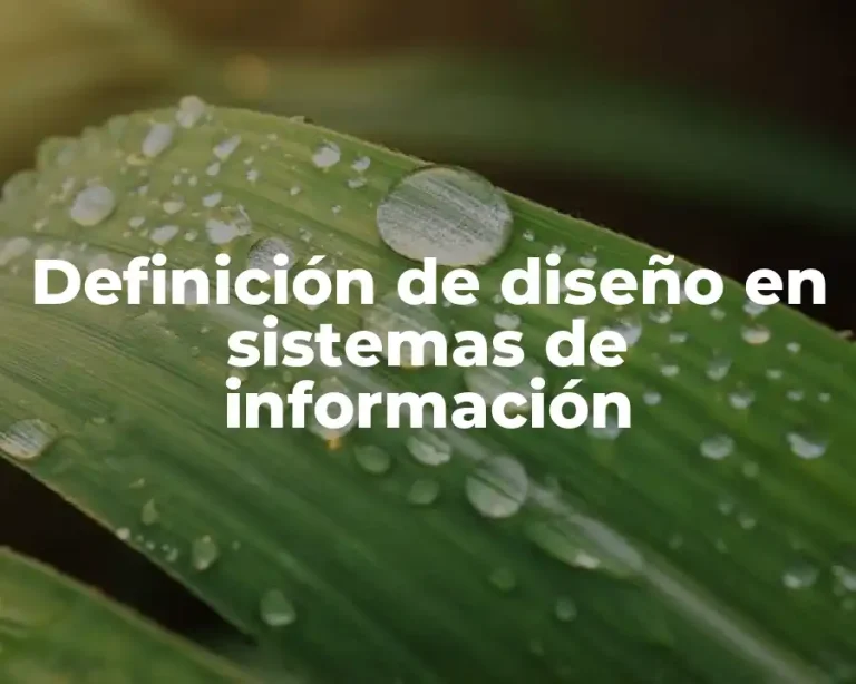 Definición de diseño en sistemas de información