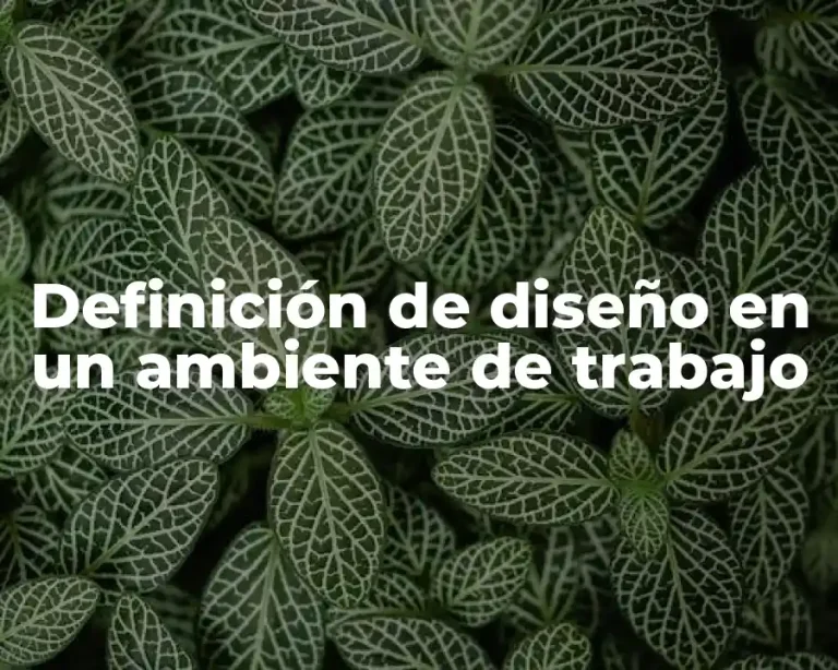 Definición de diseño en un ambiente de trabajo