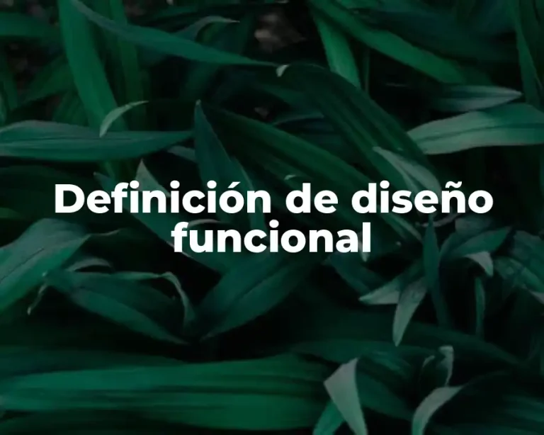 Definición de diseño funcional